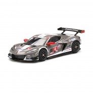 Preisvergleich für Autos: TSM-Models 316 Chevrolet Corvette C8.R "#4 2021 IMSA 12h of Sebring" grau (LH...