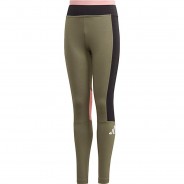 Preisvergleich für Hosen: Leggings A TP TIGHT  khaki Gr. 164 Mädchen Kinder