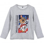 Preisvergleich für Oberteile: Paw Patrol Langarm T-Shirt grau Gr. 98 Mädchen Kleinkinder