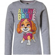 Preisvergleich für Oberteile: PAW Patrol Langarmshirt  grau Gr. 116/122 Mädchen Kleinkinder