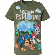 Preisvergleich für Oberteile: PAW Patrol T-Shirt  grün Gr. 104/110 Jungen Kleinkinder