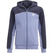 Preisvergleich für Oberteile: Performance Fleecejacke ESSENTIALS COLORBLOCK Fleecejacken lila Gr. 116