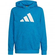 Preisvergleich für Oberteile: Performance Hoodie 3BAR FUTURE ICONS Kapuzenpullover Teenunisex blau Gr. 128