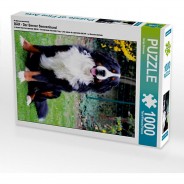 Preisvergleich für Puzzle: Puzzle CALVENDO Puzzle BÄR - Der Berner Sennenhund - 1000 Teile Foto-Puzzle glückliche Stunden  Kinder