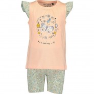 Preisvergleich für Oberteile: Set T-Shirt + Shorts  rosa Gr. 110 Mädchen Kleinkinder