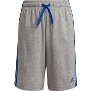 Preisvergleich für Hosen: Shorts B 3S SHO  blau/grau Gr. 110 Jungen Kleinkinder