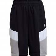 Preisvergleich für Hosen: Shorts B CB SHO D2M  (recycelt) schwarz/grau Gr. 128 Jungen Kinder