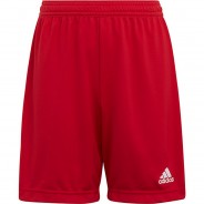 Preisvergleich für Hosen: Shorts ENT22 SHO Y  rot Gr. 128 Jungen Kinder