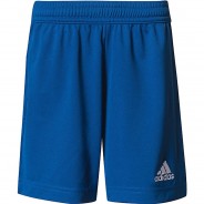 Preisvergleich für Hosen: Shorts ENT22 SHO Y  royal Gr. 116 Jungen Kinder