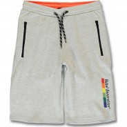 Preisvergleich für Hosen: Shorts , Organic Cotton hellgrau Gr. 134 Jungen Kinder