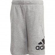 Preisvergleich für Hosen: Sweatshorts BOS  grau Gr. 116 Jungen Kinder