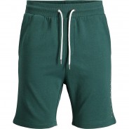 Preisvergleich für Hosen: Sweatshorts JPSTFONT  grün Gr. 140 Jungen Kinder