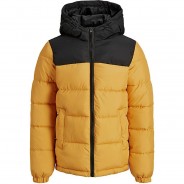 Preisvergleich für Jacken & Outdoorkleidung: Winterjacke JJPAUL  orange Gr. 164 Jungen Kinder